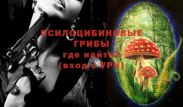 ешки Майский