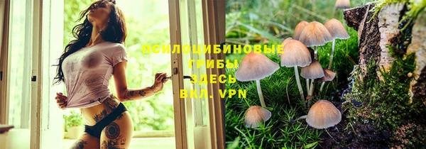 a pvp Лиски