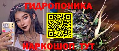 скорость Славгород