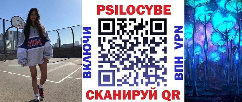 Псилоцибиновые грибы Psilocybe Черемхово